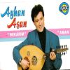 Download track Arabacı