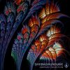 Download track Distorted Soul