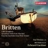 Download track Symphony For Cello And Orchestra, Op. 68- I. Allegro Maestoso