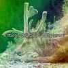 Download track Surround Yourself In Rain