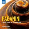 Download track Guitar Quartet No. 13 In F Major, MS 40: I. Allegro Con Brio