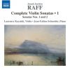 Download track 04 - Violin Sonata No. 3 In D Major, Op. 128- IV. Allegro Vivace
