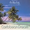 Download track Stillness Of Dawn