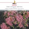 Download track Suite In D Major, Op. 49: I. Prelude