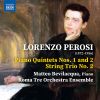 Download track Piano Quintet No. 2 In D Minor: II. Adagio