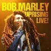 Download track Steppin' Out Of Babylon