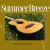 Download track Relaxing Guitar Music