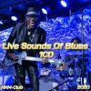 Download track I Fell In Love With A Woman In The Welfare Line