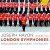 Download track Symphony No. 96 In D Major, Hob. I96 Miracle III. Menuetto. Allegretto