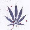 Download track Ecstasy