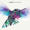 Download track I’ve Got A Feelin’ + Orglar + Sense (Exclusive A Cappella)