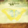 Download track Open Road