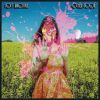 Download track Joy Of A Toy