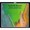 Download track 6. Symphony No. 4 In E Minor Op. 98 - II. Andante Moderato