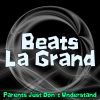 Download track Parents Just Don't Understand (Radio Mix)