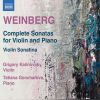 Download track Violin Sonata No. 5, Op. 53 IV. Allegro-Andante-Allegretto-Andnate