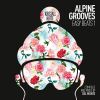 Download track Alpine Grooves Easy Beats 1 (Continuous DJ Mix)