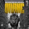 Download track So Divine