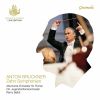 Download track Symphony In D Minor, WAB 100 Nullified I. Allegro [Live]