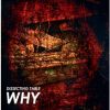Download track Why