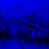 Download track Murder In My Mind