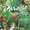 Download track Amor Em Paz