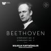 Download track Symphony No. 7 In A Major, Op. 92: IV. Allegro Con Brio