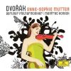 Download track 5. Mazurek For Violin And Orchestra In E Minor Op. 49