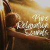 Download track Calm Music For Work And Concentration, Pt. 5