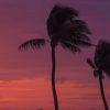 Download track Ocean Drive