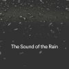 Download track The Rain Heals Me