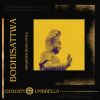 Download track Gong For Calming The Mind