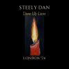 Download track Brooklyn (Owes The Charmer Under Me) (Live)