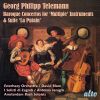 Download track Triple Concerto For Flute, Oboe D'amore, Violin, Strings, And Basso Continuo In E Major, TWV 53: E1: II. Allegro