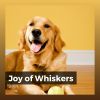 Download track Relaxed Poodle