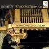 Download track Diabelli Variations, Op. 120: Var. 33, Tempo Di Menuetto. Moderato