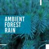 Download track Summer Rain Drops