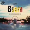 Download track A Guy In Boom (Continuous DJ Mix)