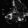 Download track Death Fetish