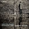 Download track Piano Sonata 1. X. 1905, Jw VIII19 I. Předtucha (Foreboding) Con Moto