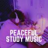 Download track Study Beats, Pt. 10