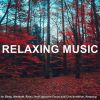 Download track Soothing Peace