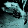 Download track Splendid