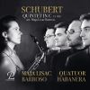 Download track String Quintet In C Major, Op. 163, D. 956 (Arr. For 5 Saxophones By Maja Lisac Barroso): IV. Allegretto
