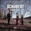 Download track Piano Trio No. 1 In B-Flat Major, Op. 99, D. 898: III. Scherzo, Allegro