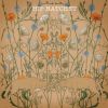 Download track Small Bird Song