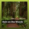 Download track If I Were A Raindrop