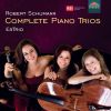 Download track Piano Trio No. 1 In D Minor, Op. 63 IV. Mit Feuer