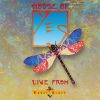 Download track Owner Of A Lonely Heart