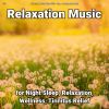 Download track Relaxing Music To Sleep By